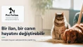 İstanbul’da Yuva Bekleyen Hayvanlar İçin Küçük Ama Değerli Bir Umut