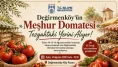 Değirmenköy Domatesi Tezgâhlardaki Yerini Alıyor