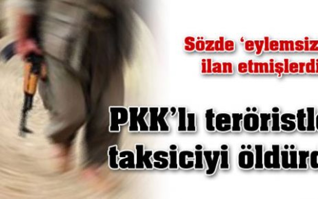 PKK'lı teröristler taksi şoförünü öldürdü