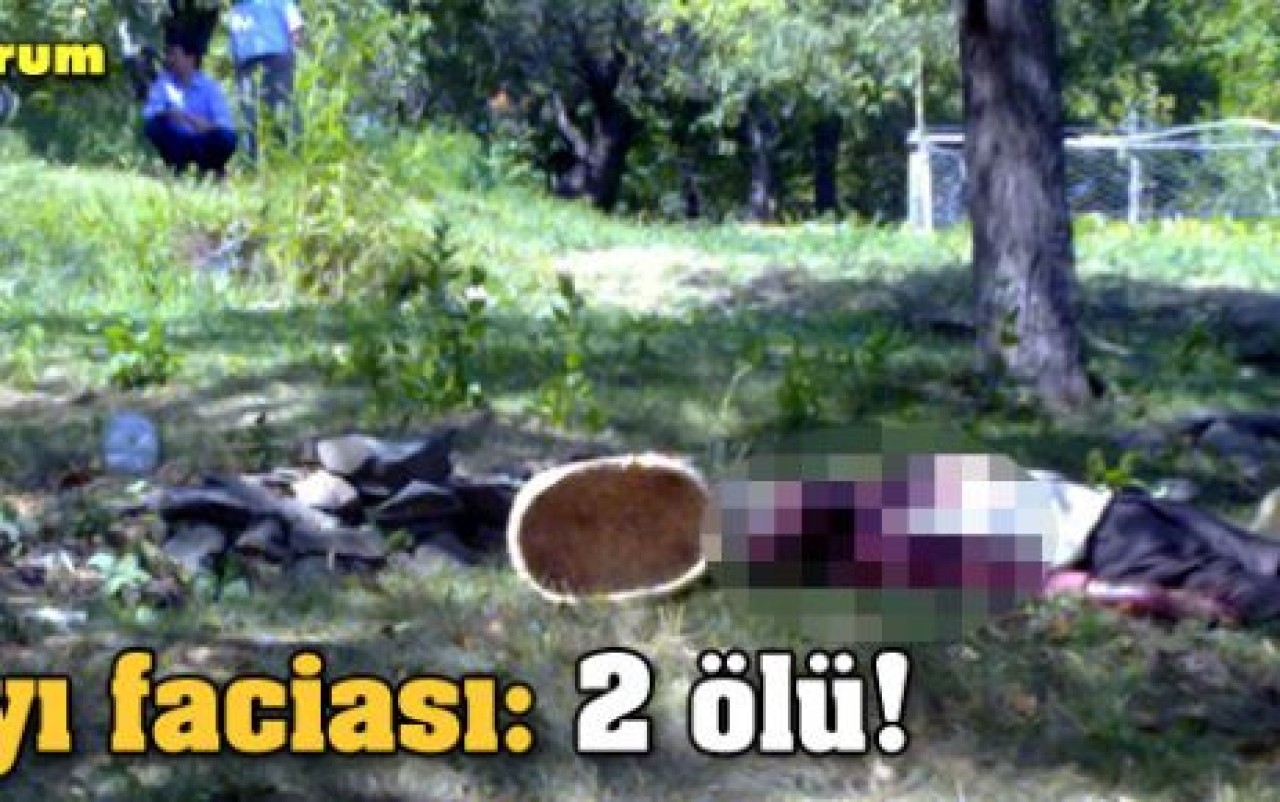 Erzurum'da ayı dehşeti: 2 ölü