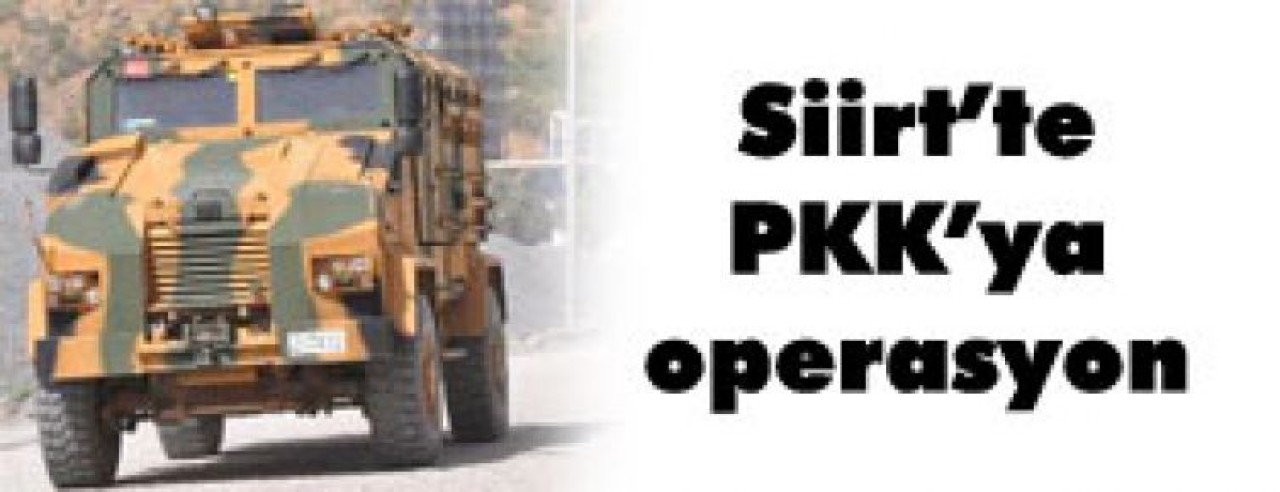 Siirt'te PKK'ya operasyon