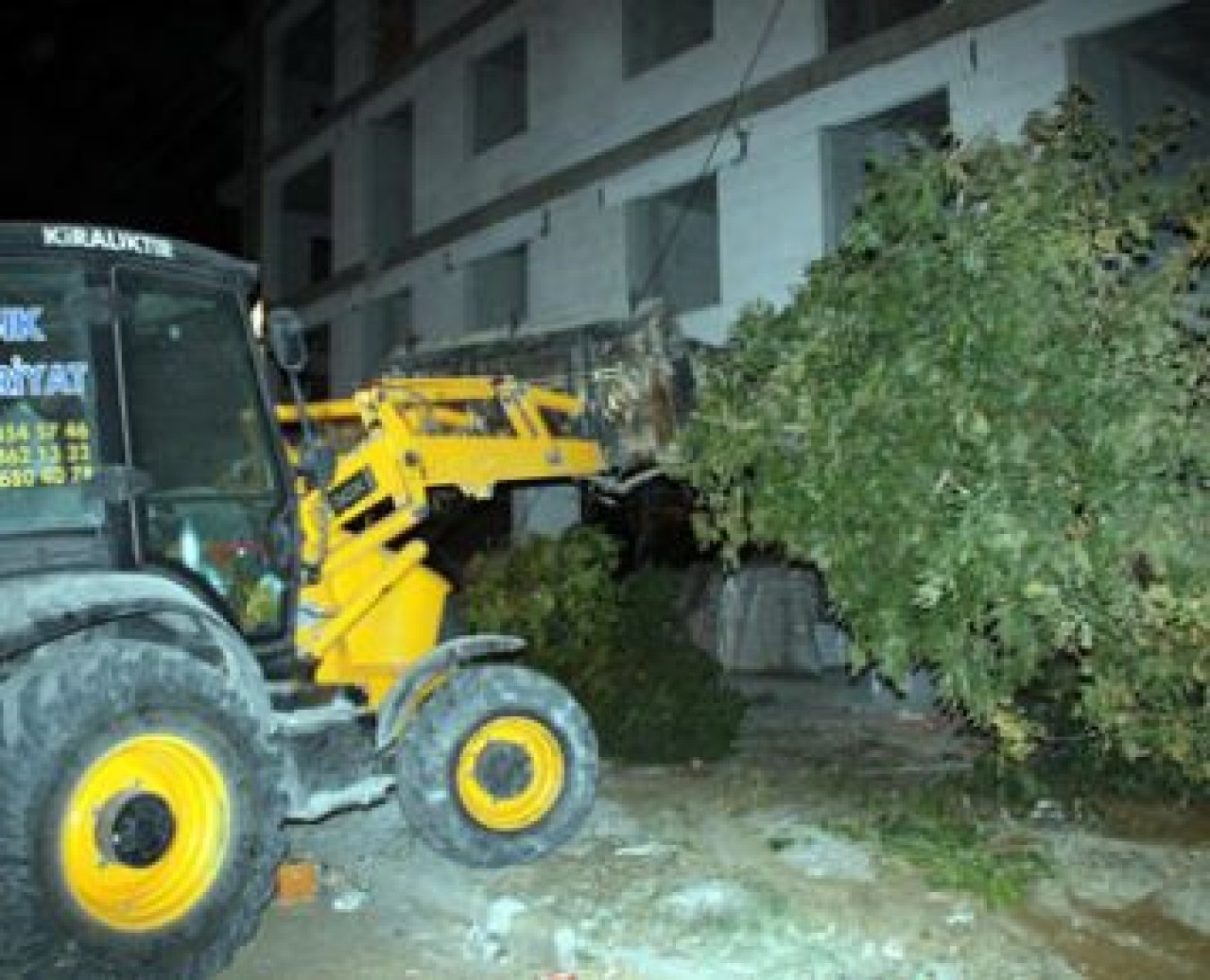 Ağaç başı 3 bin TL ceza