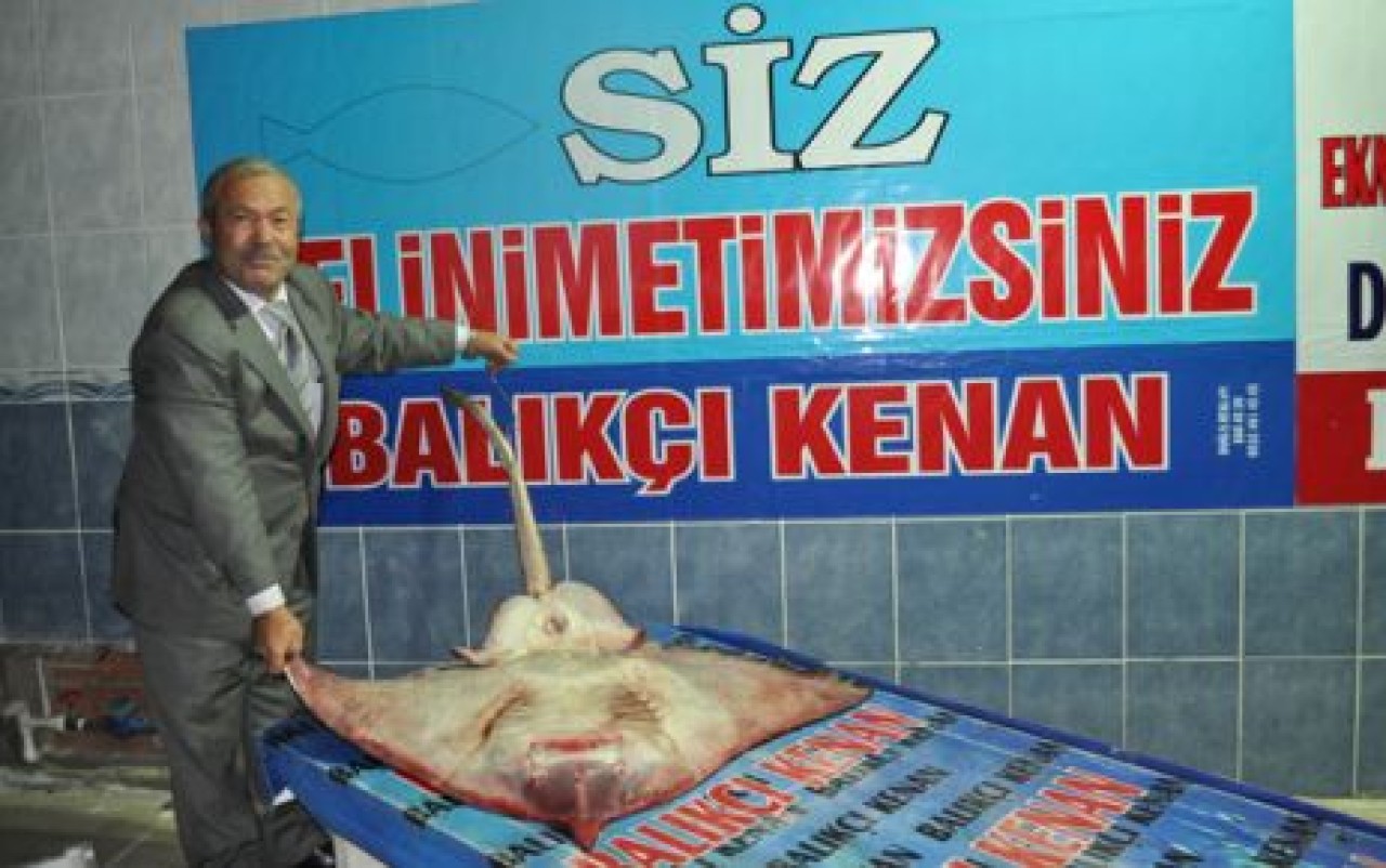 BALIKÇILAR DENİZDEN ÇIKANA ŞAŞIRDI!