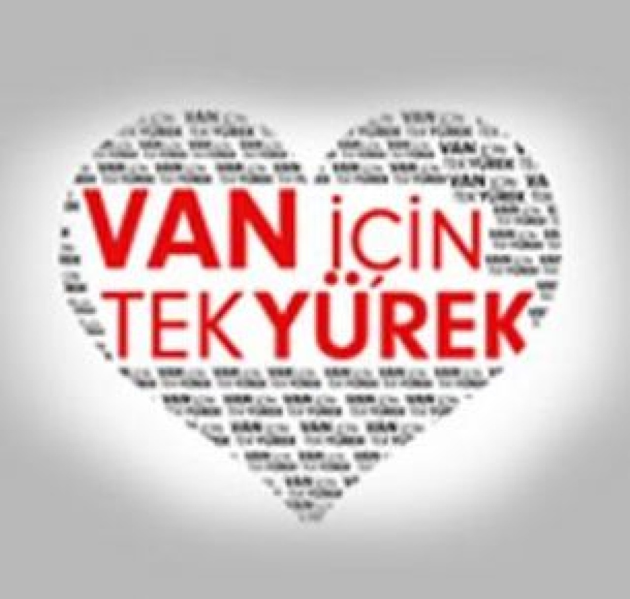 19 yayın kuruluşu Van için ortak bir gece düzenledi.