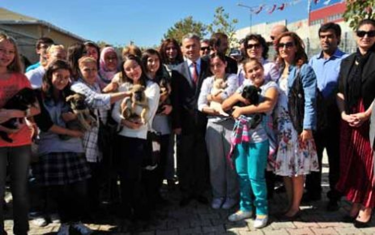 ACIKLI HİKAYELERİYLE YENİ SAHİPLERİNİ BEKLİYORLAR