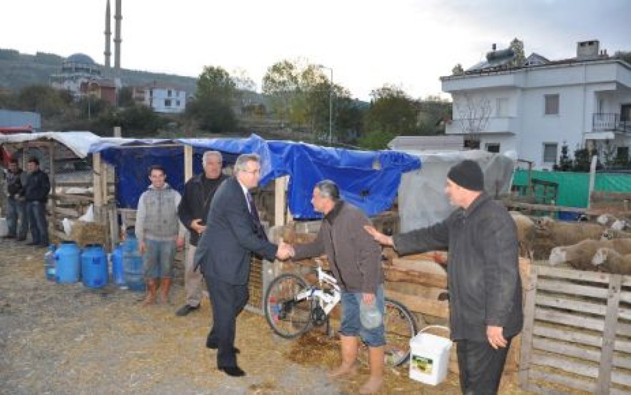 HER PERŞEMBE HAYVAN PAZARI KURULUYOR