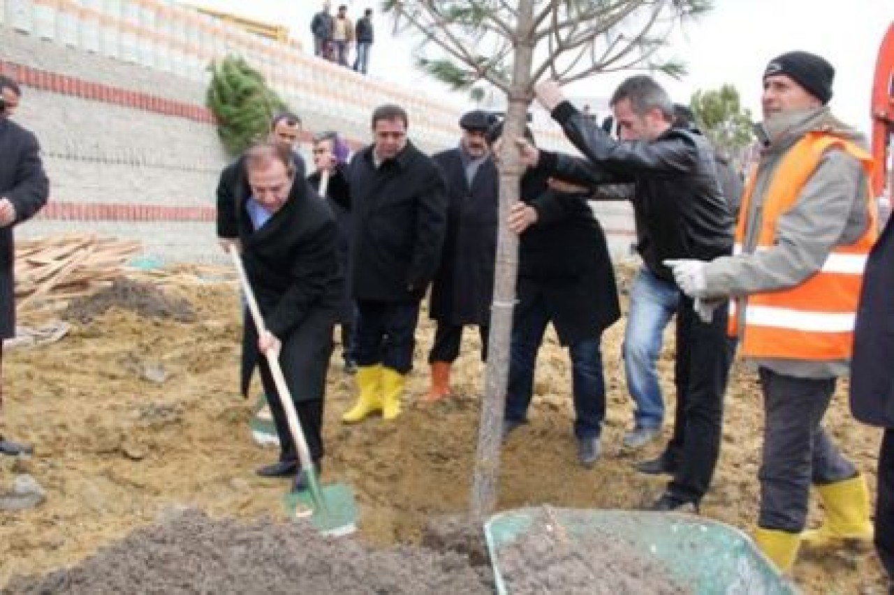 Abdullah Gül Parkı’na ithal ağaçlar dikildi