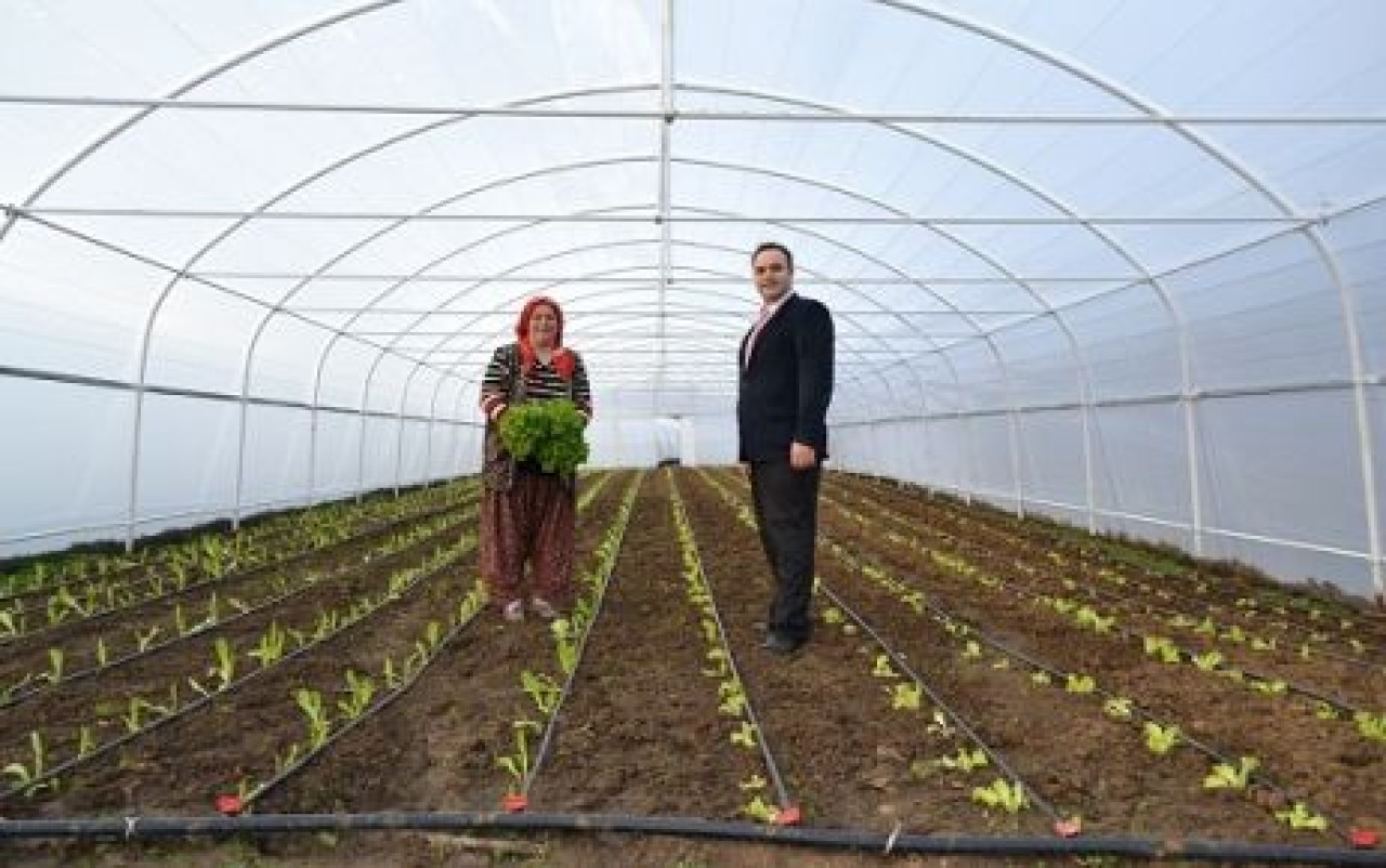 Çatalca Kaymakamlığı’ndan sera desteği