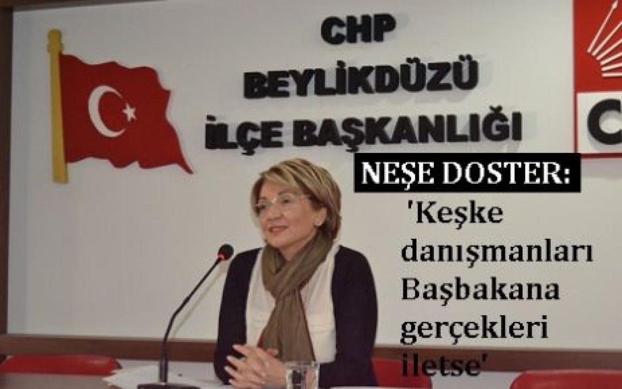 'Keşke danışmanları Başbakana gerçekleri iletse'