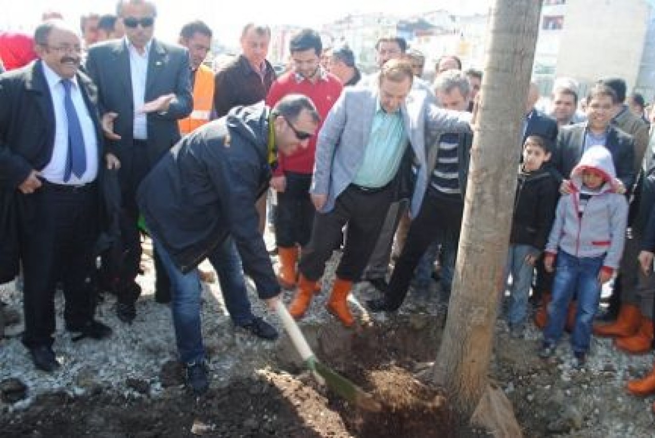 Esenyurt'ta medya ormanı!