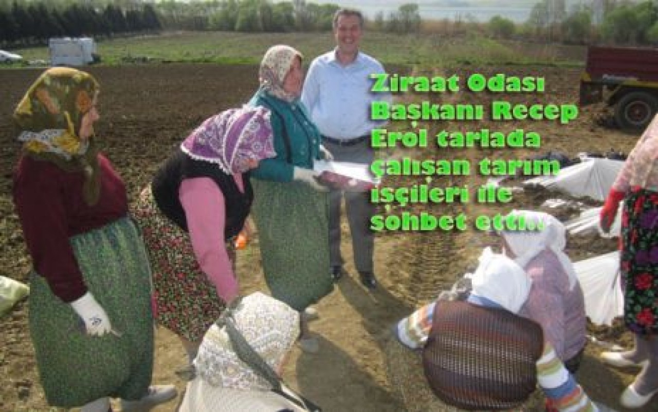 TARLAYA KARPUZ EKTİK!