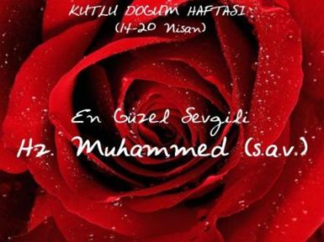 KARDEŞLİK AHLAKI VE HUKUKU