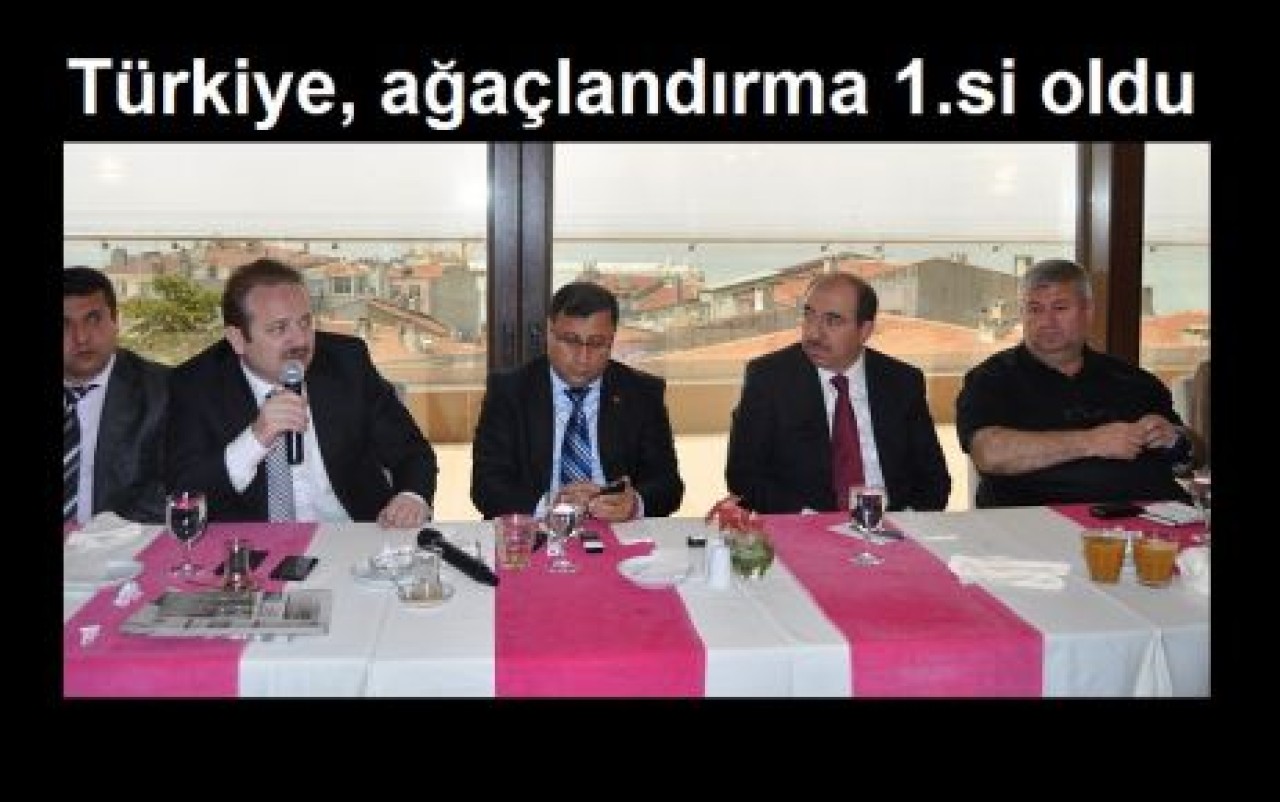 Türkiye, ağaçlandırma 1.si oldu