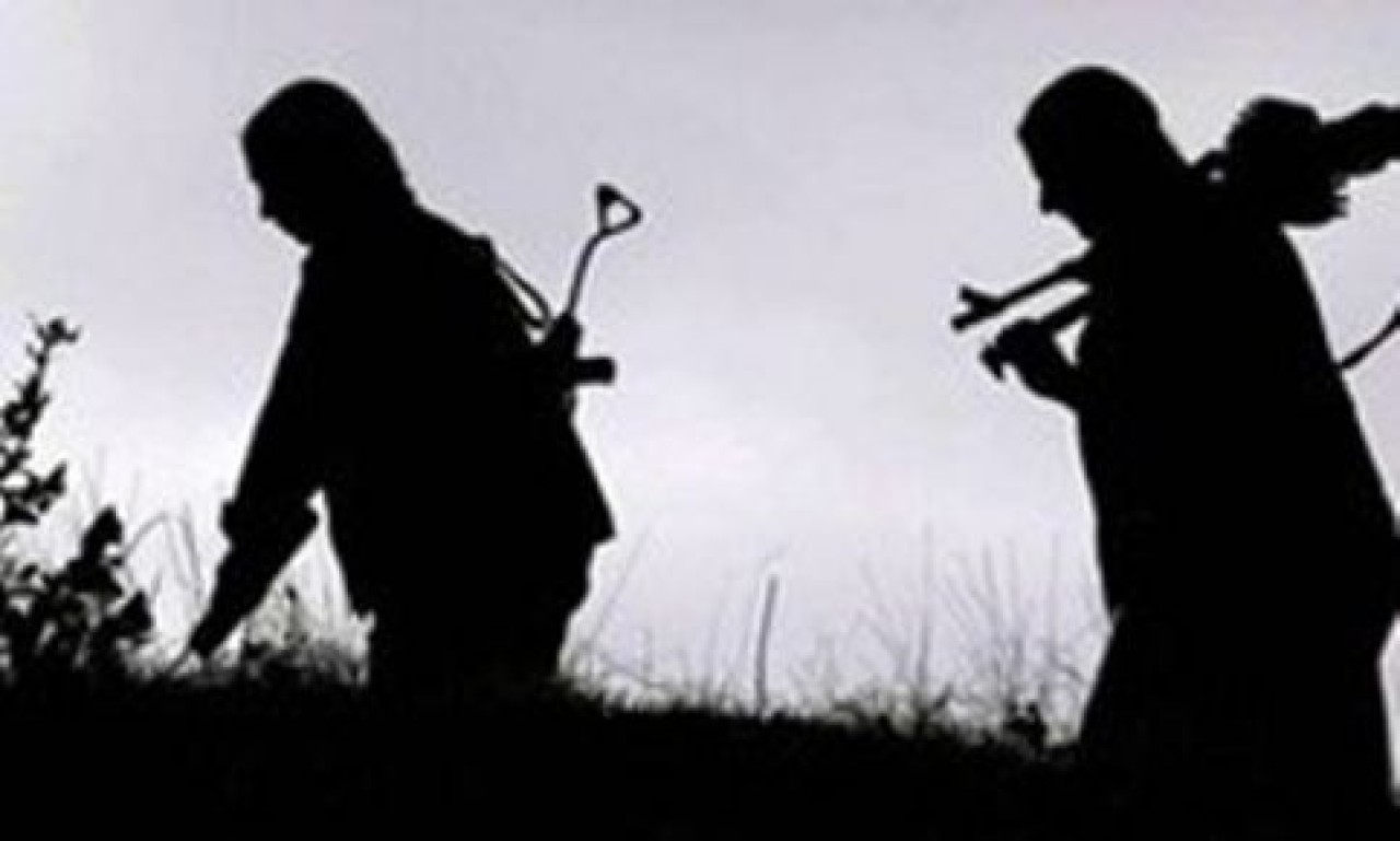 PKK Bitlis'te 1 asker ve 2 öğretmeni kaçırdı.
