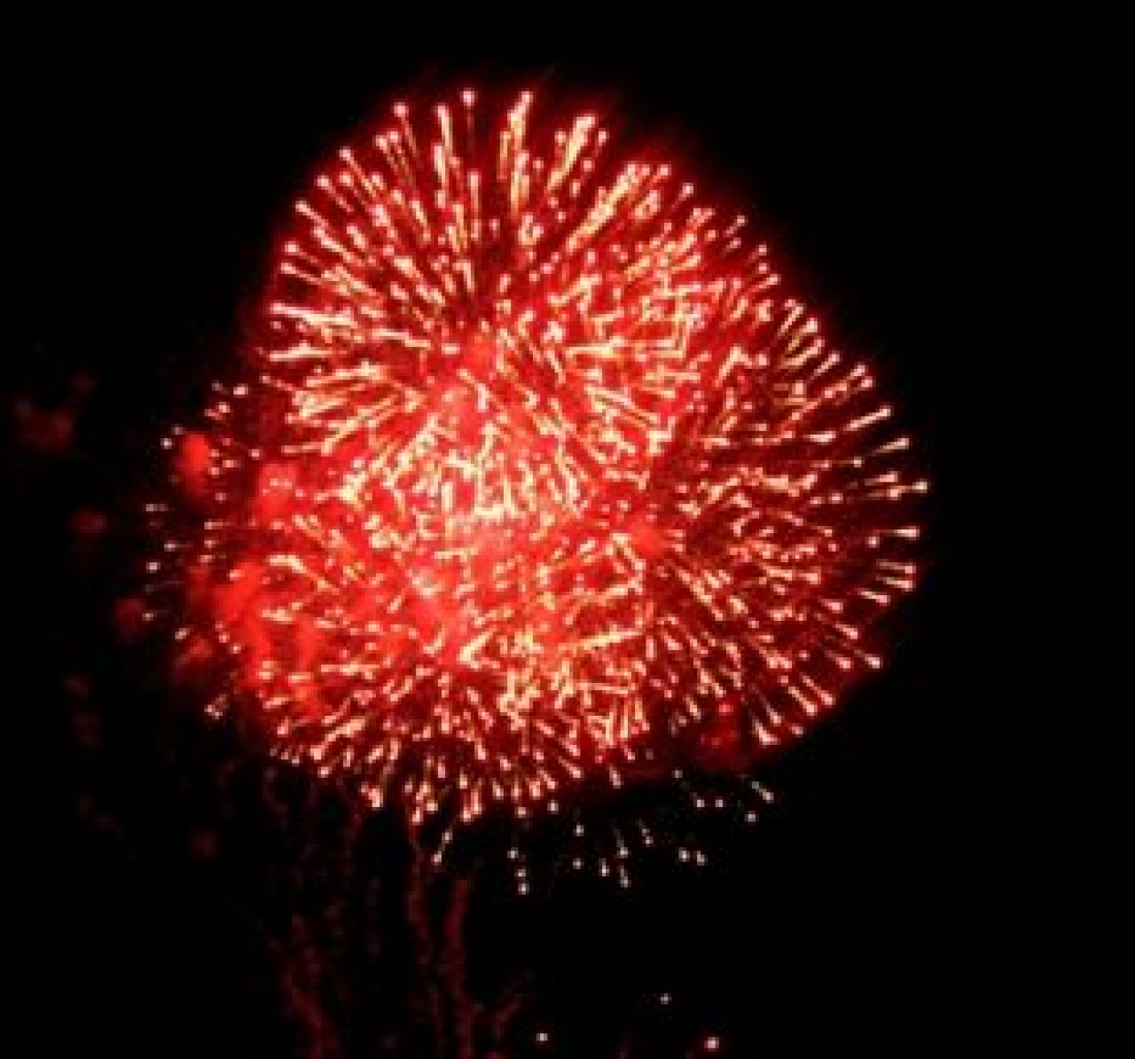 B.Çekmece de Yine Havai Fişek Rezaleti. Hani Yasaktı?