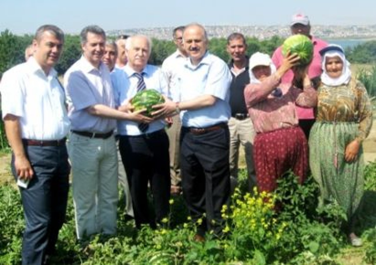 Kaymakam Gündüz ve Başkan Erol Karpuz Tarlasında!..