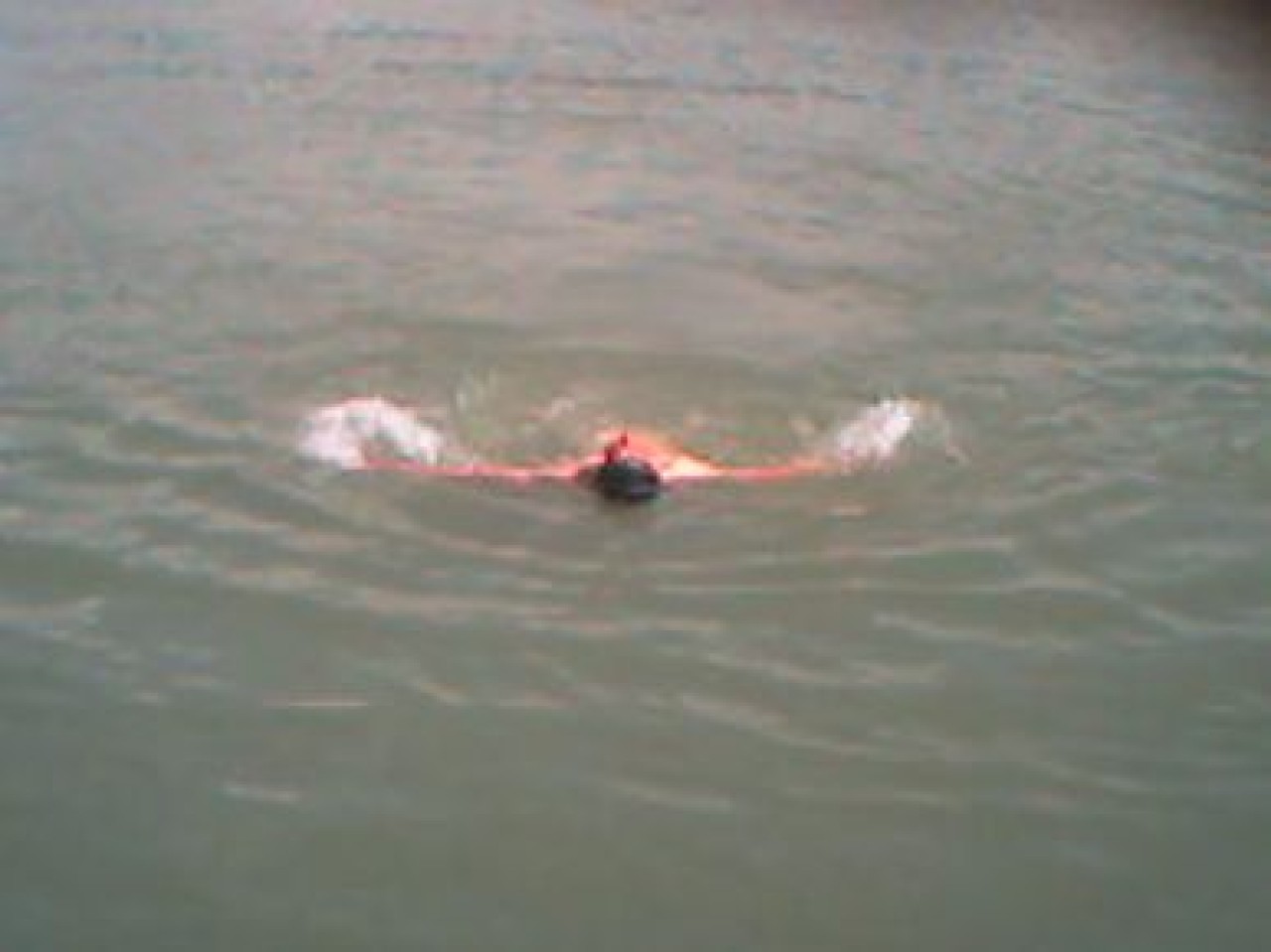 EN BÜYÜK SAHİL KORDON BOYU KUMBURGAZ'DA