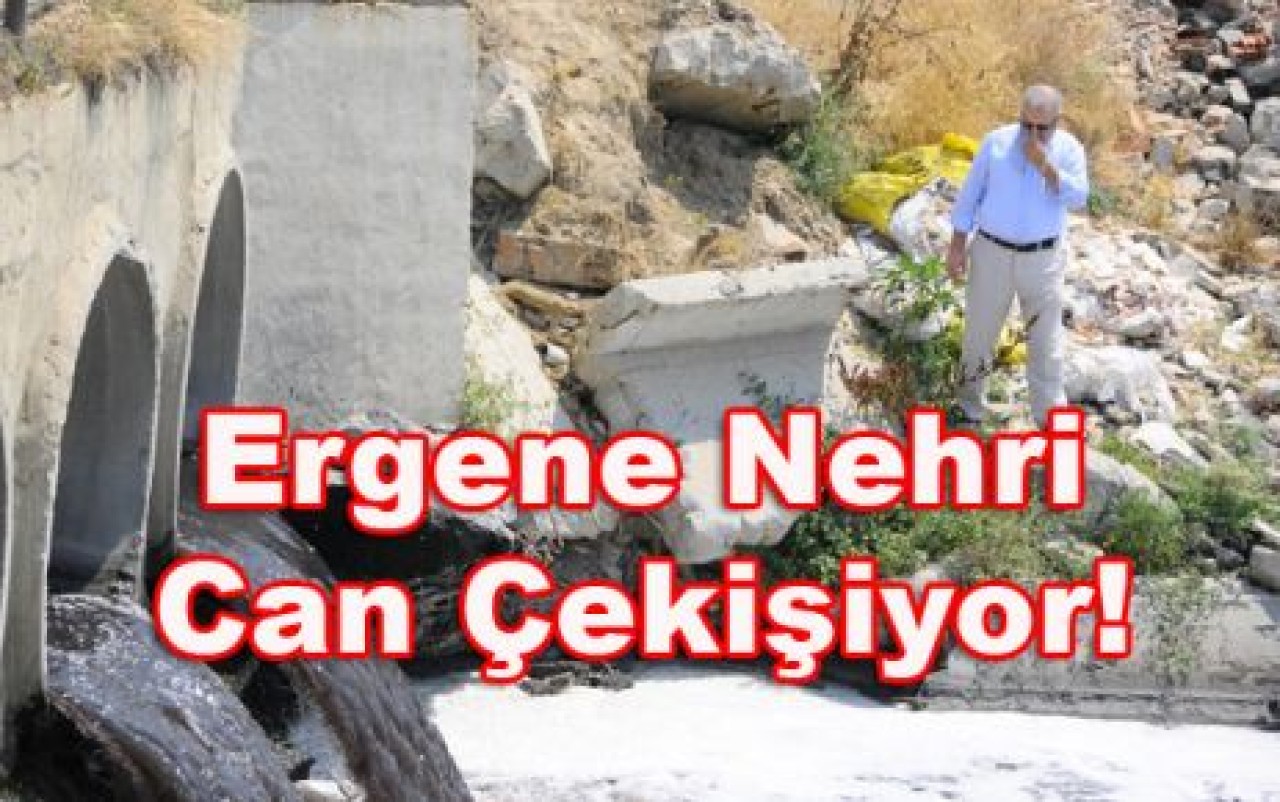 Ergene Nehri Can Çekişiyor Yöneticiler Seyrediyor