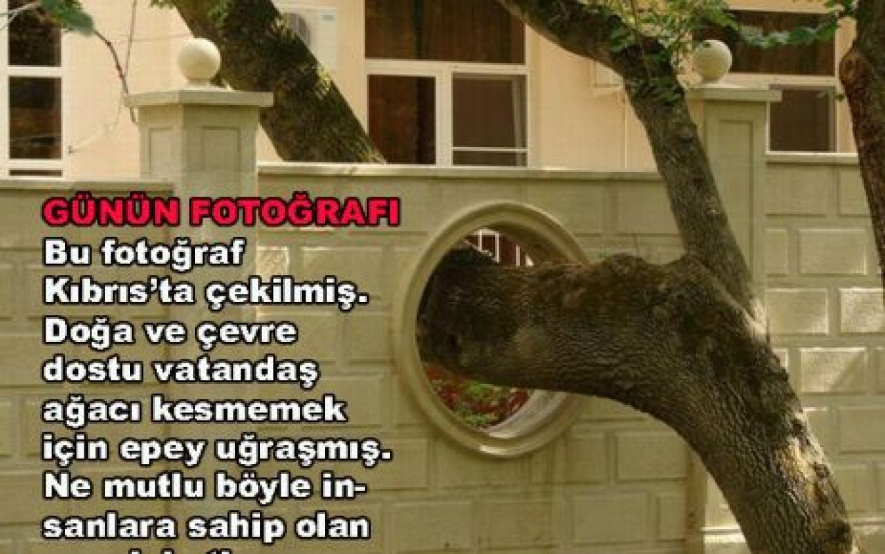 GÜNÜN FOTOĞRAFI