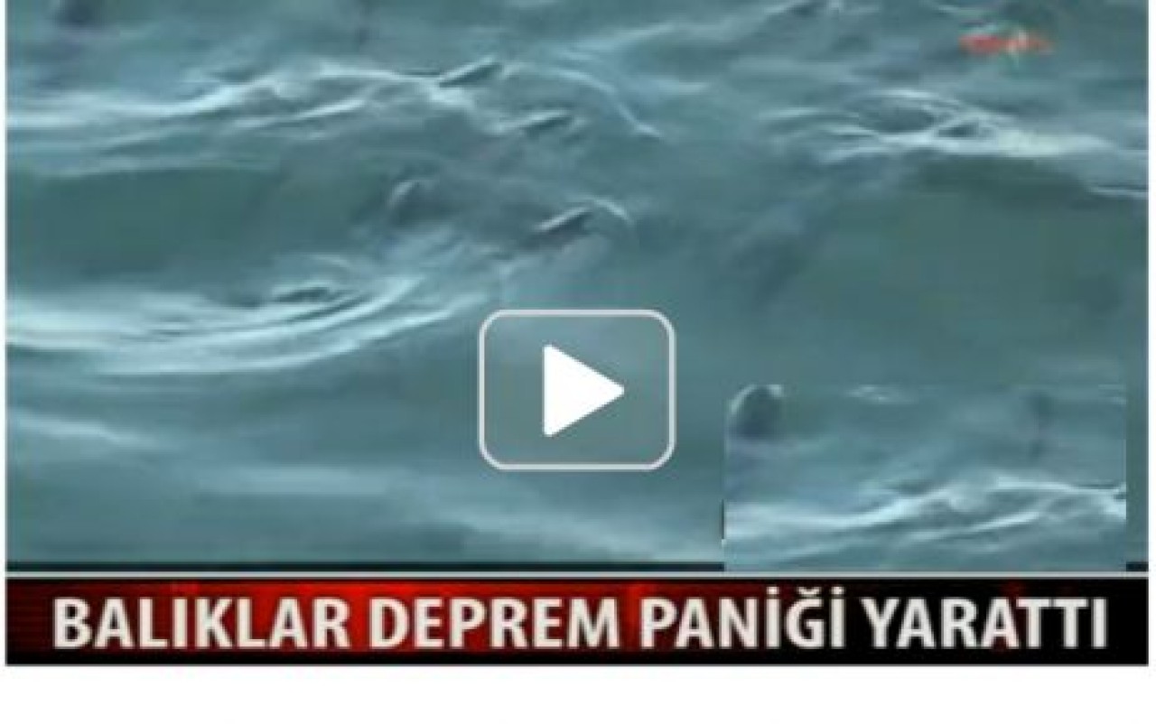 MARMARA DENİZİ'NDE KORKUTAN GÖRÜNTÜ...
