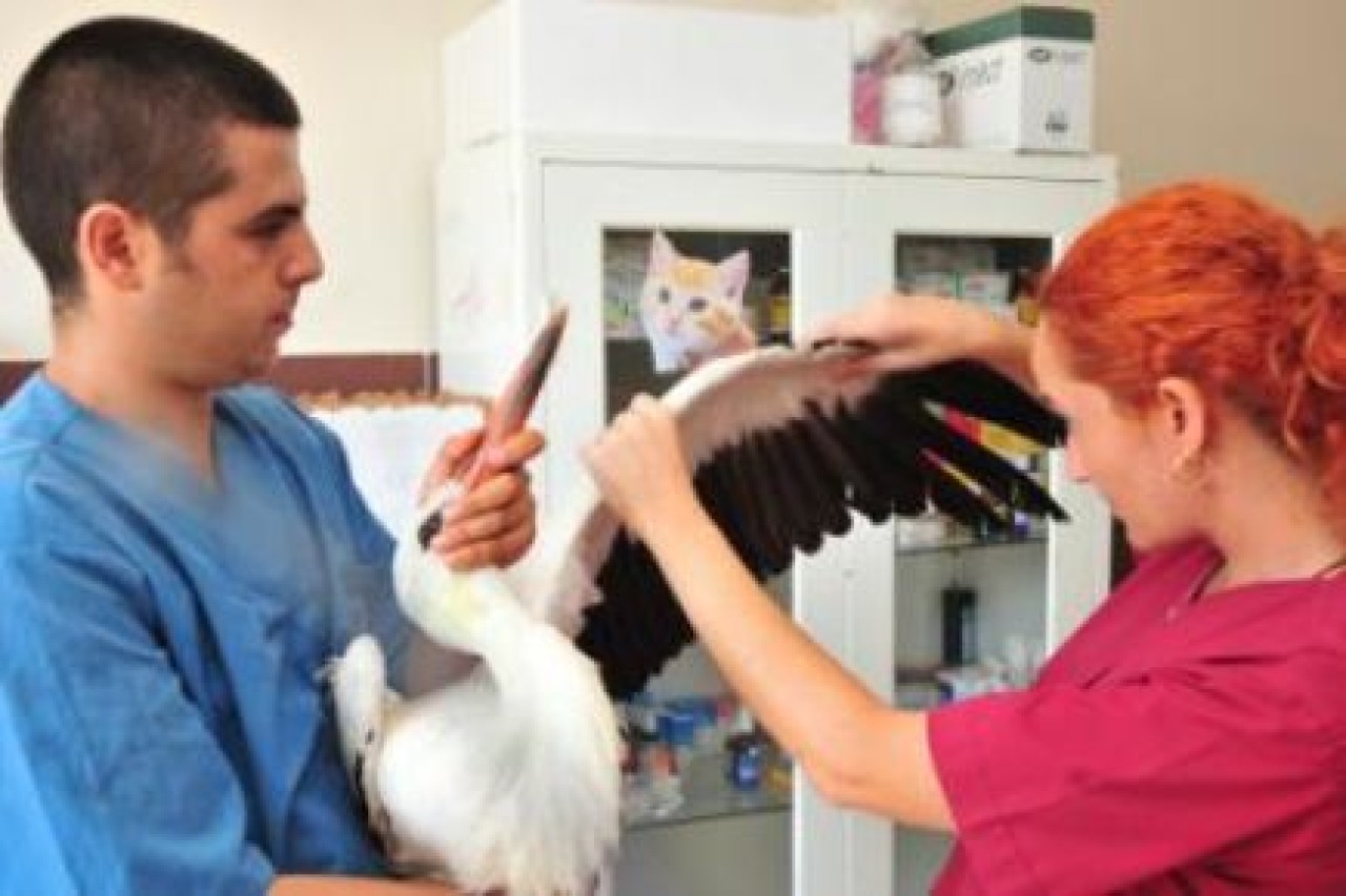 LEYLEK BAKIMA ALINDI..