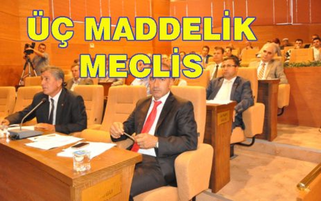 ÜÇ MADDELİK MECLİS