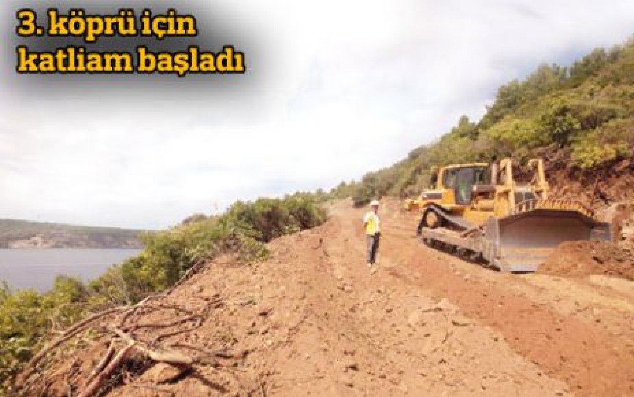 3. köprü için ağaç kıyımı