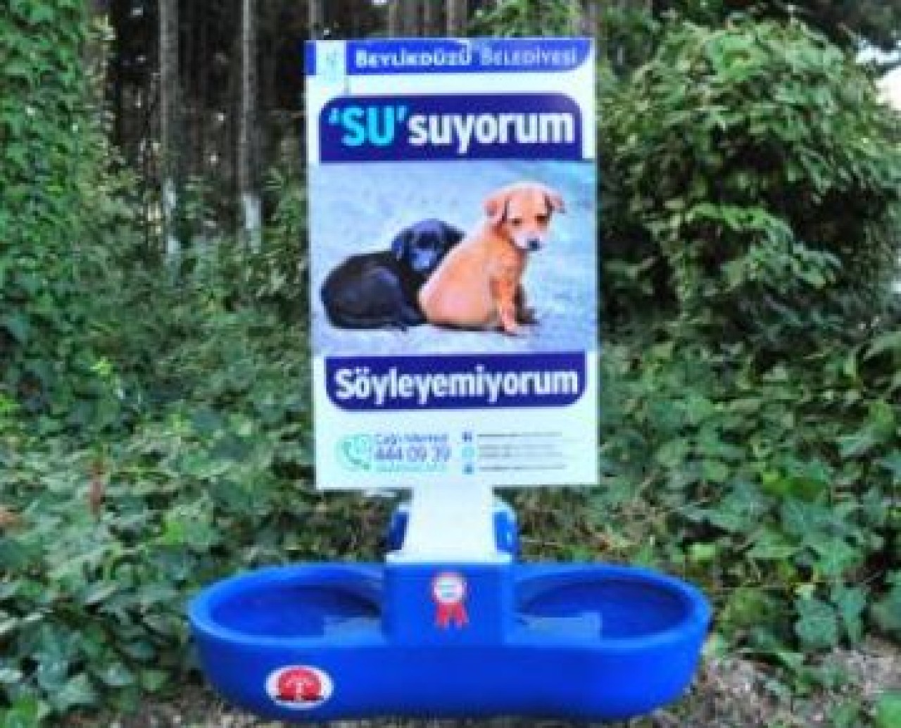 Sokak hayvanları susuz kalmasın!
