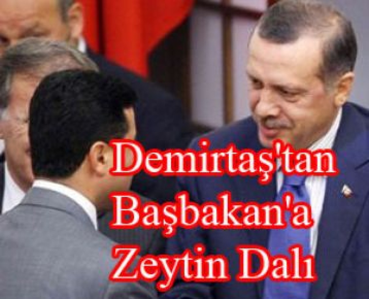 Demirtaş'tan Başbakan'a Zeytin Dalı