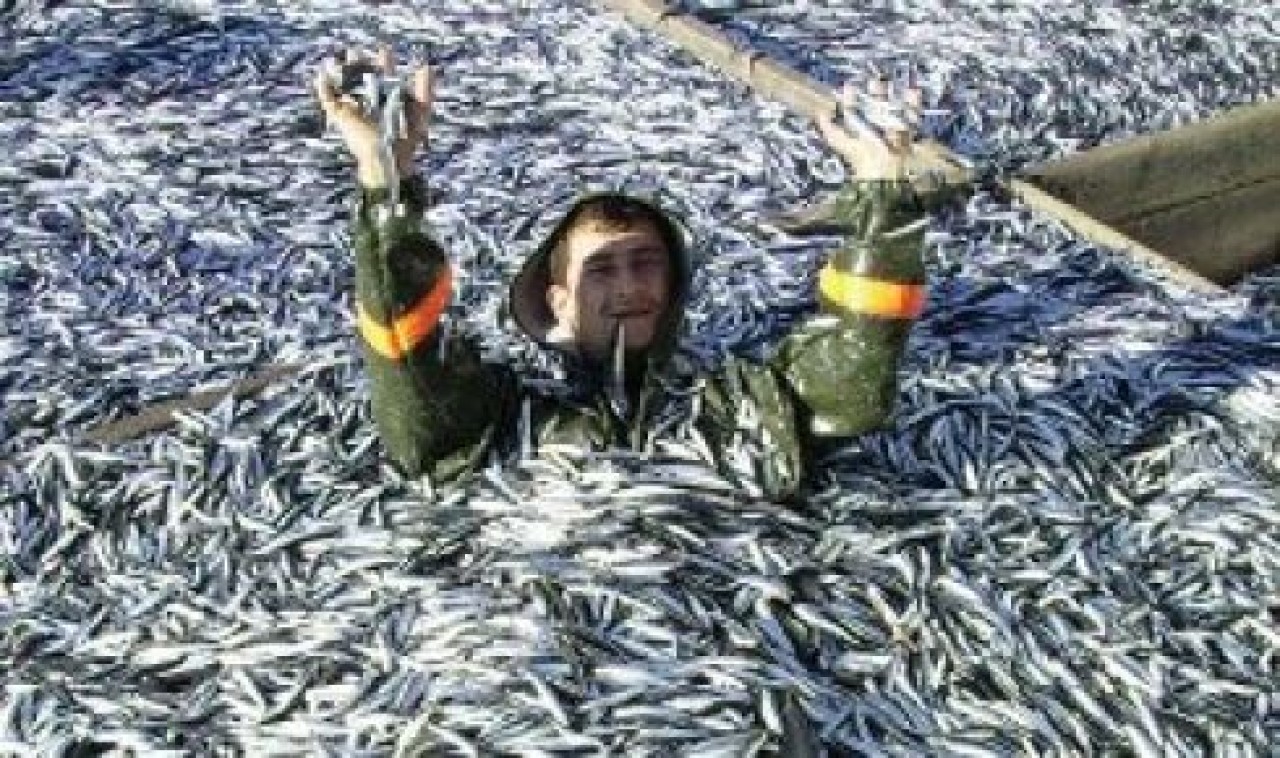 Balıkçının yüzü gülüyor