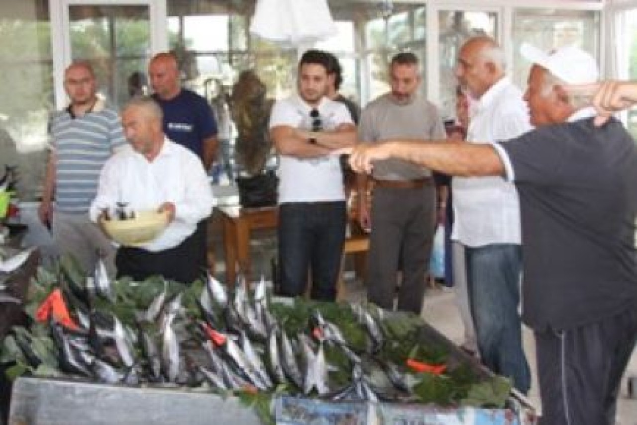 Marmara'da palamut bereketi