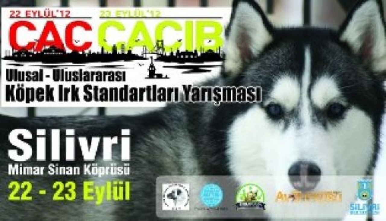 Köpek ırklari 22- 23 Eylül’de Silivri’de