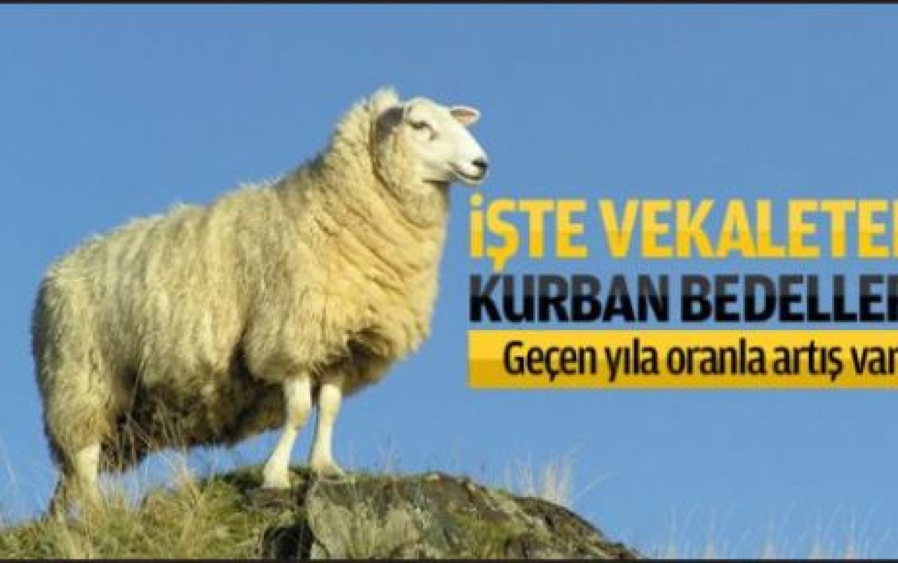 THK Kurban bedelini açıkladı