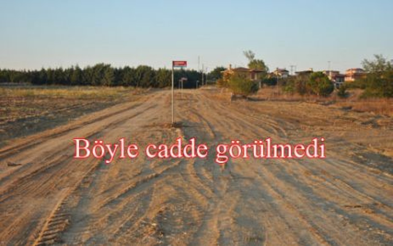 Böyle cadde görülmedi