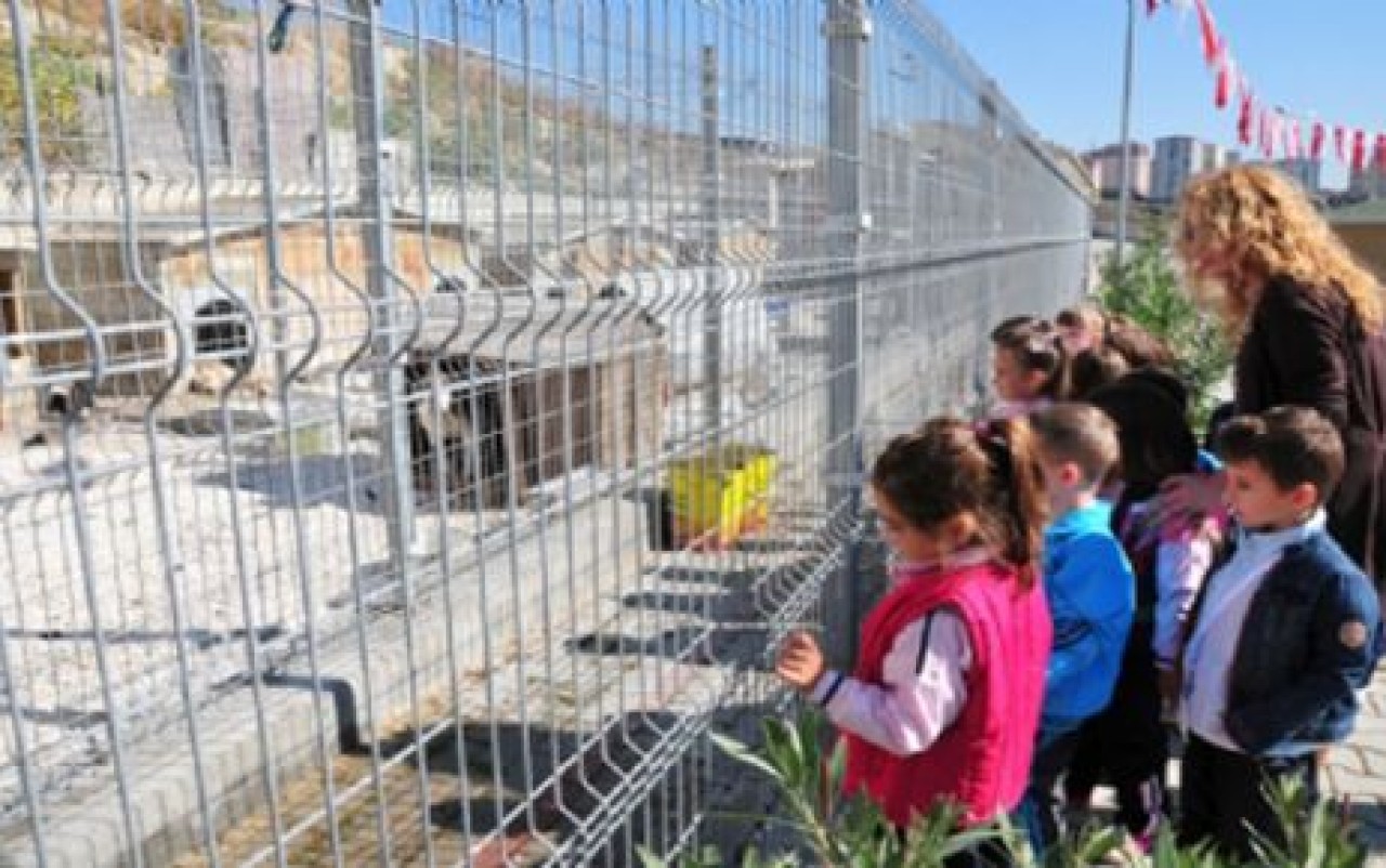 Beylikdüzü`nde Hayvanları Koruma Günü etkinliği