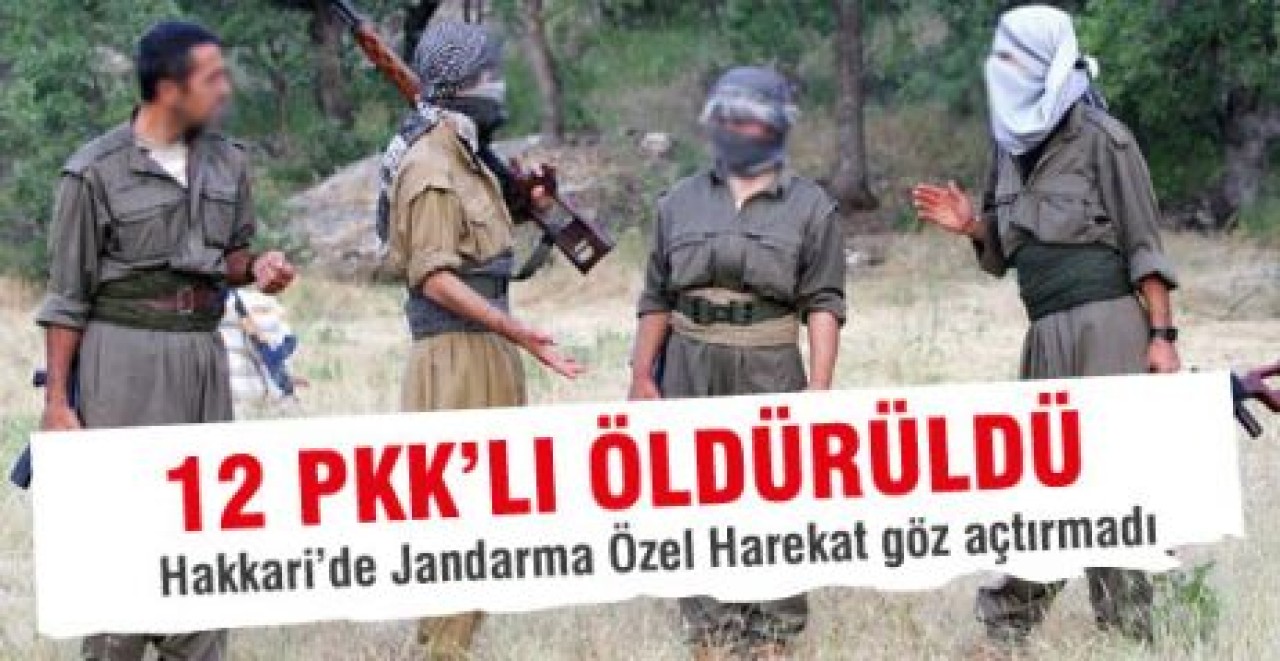 12 Terörist Etkisiz Hale Getirildi