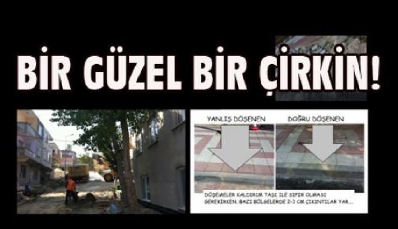 BİR GÜZEL BİR ÇİRKİN!