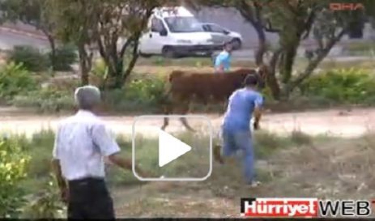 MEMLEKETİMDEN KURBAN MANZARALARI