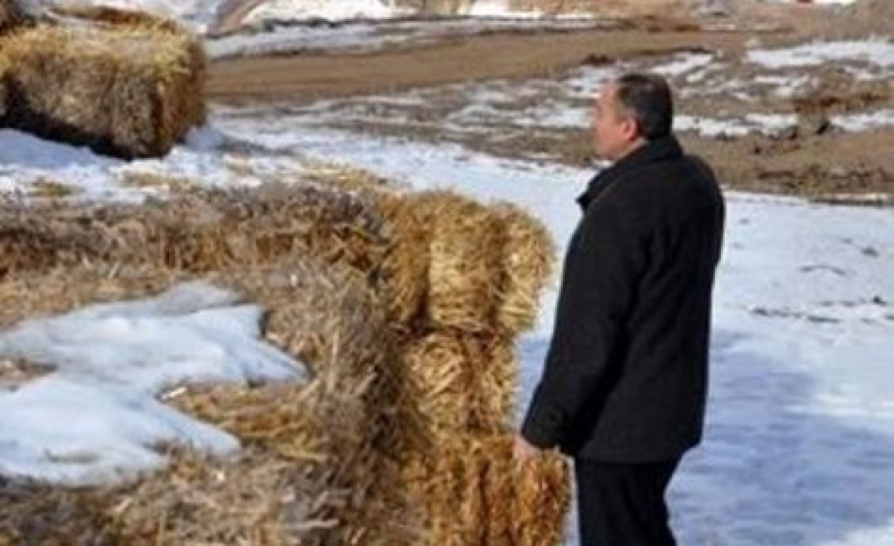 Erzurum'a saman takviyesi