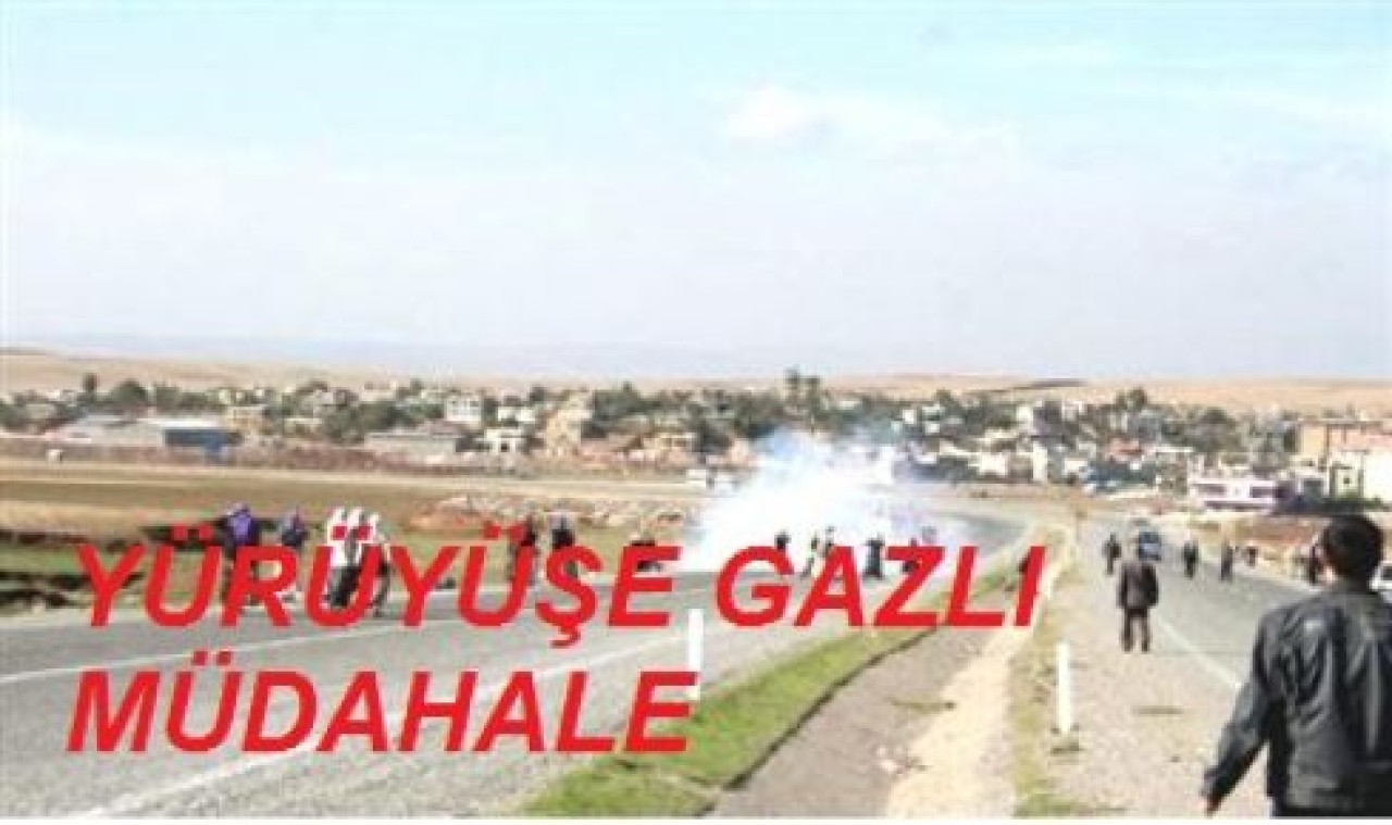 Siirt'te Yürüyüşe Gazlı Müdahale