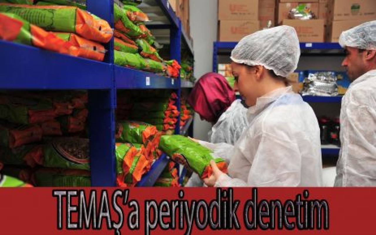 TEMAŞ’a periyodik denetim