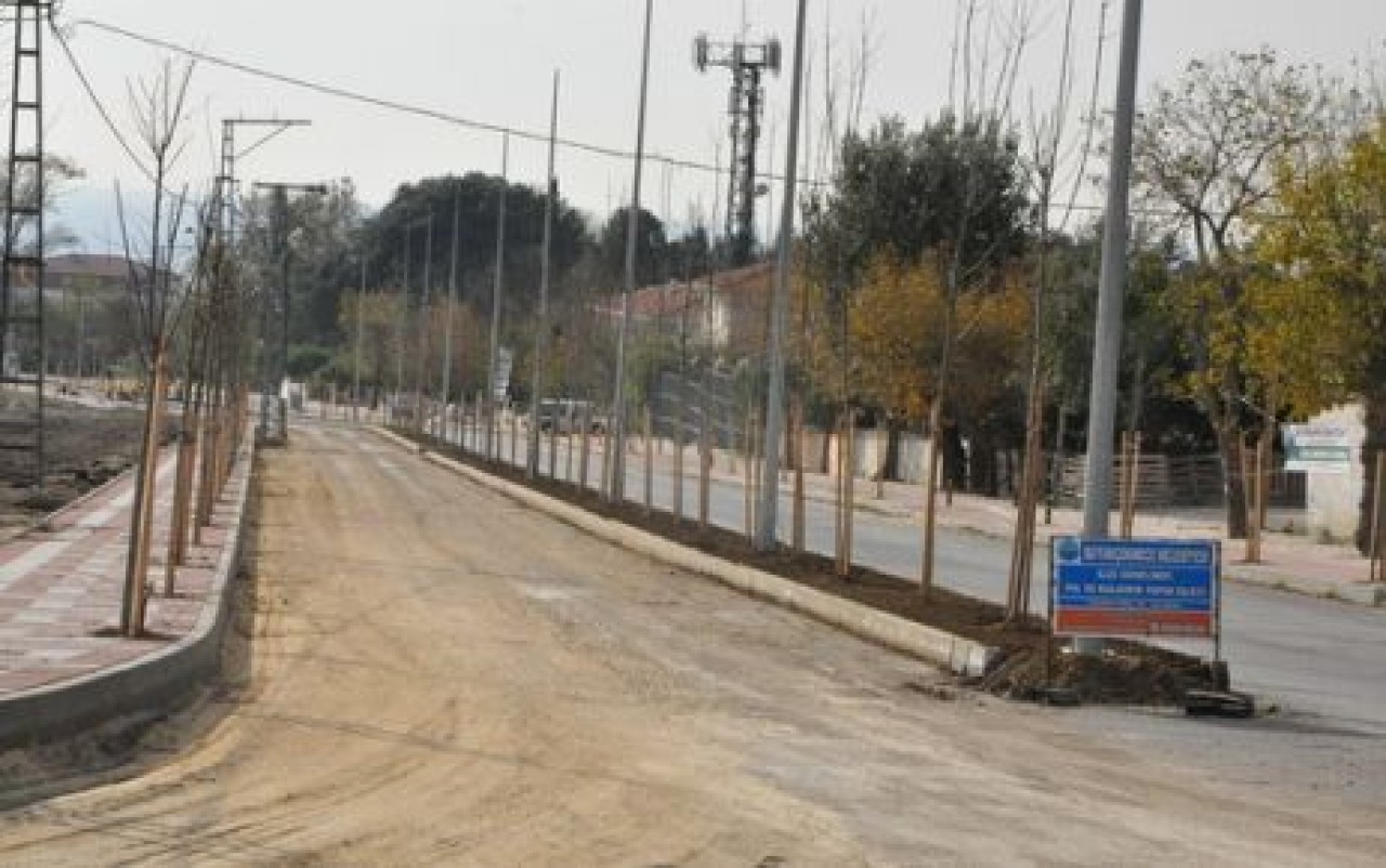 Güzelce girişi ağaçlandırıldı…