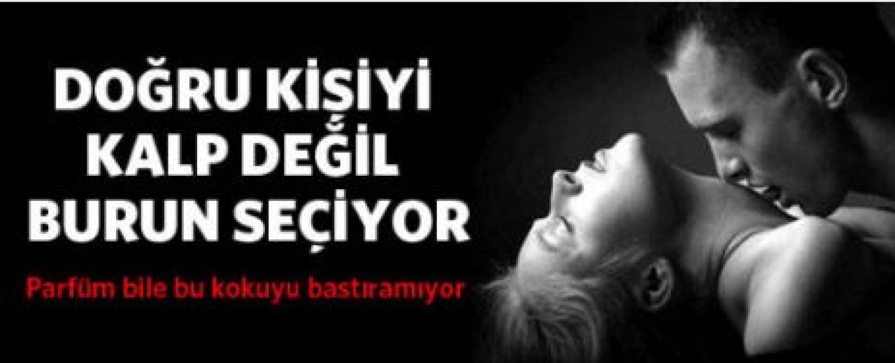 Doğru kişiyi burun seçiyor