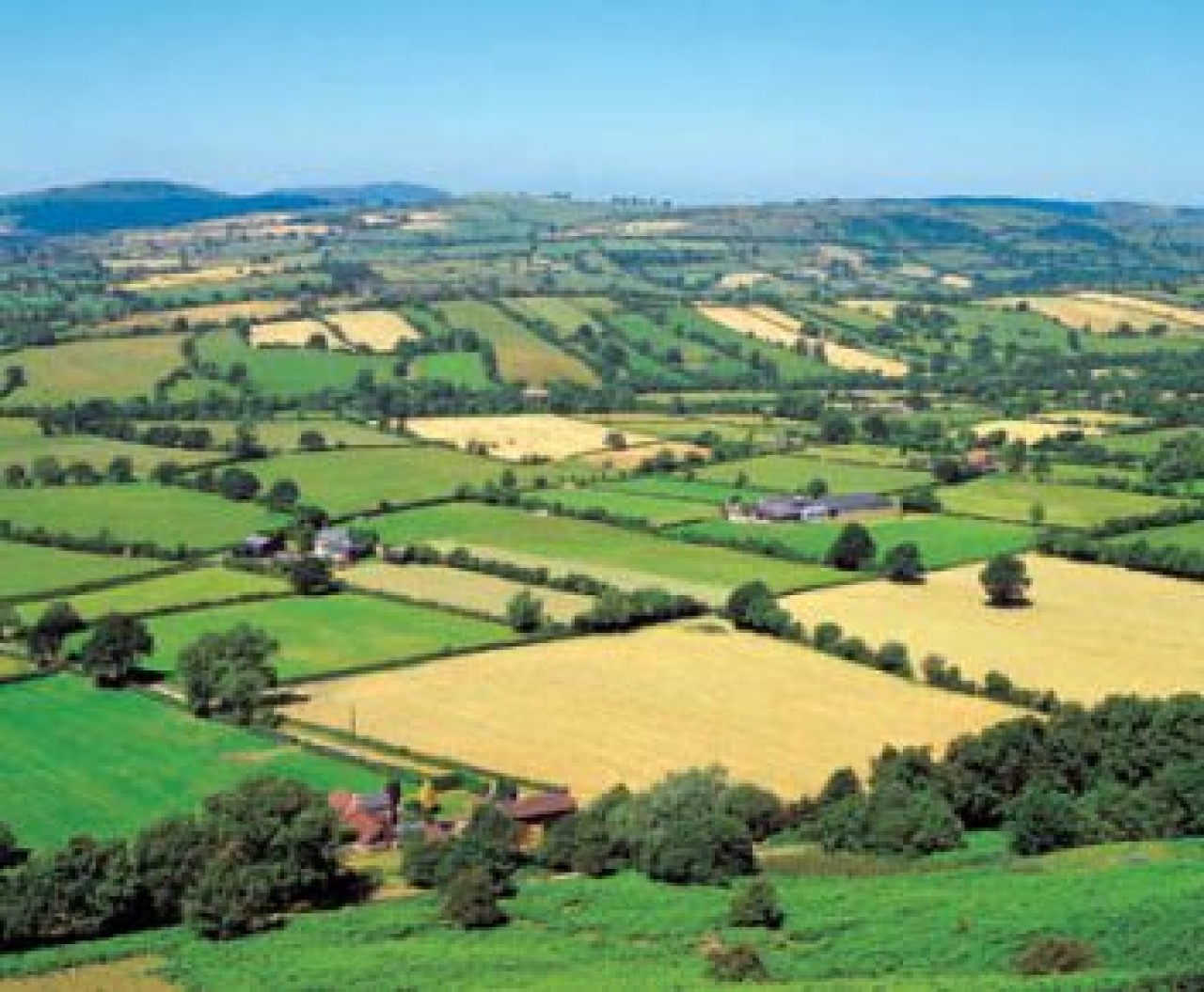 Yüzlerce çiftçi mağdur!