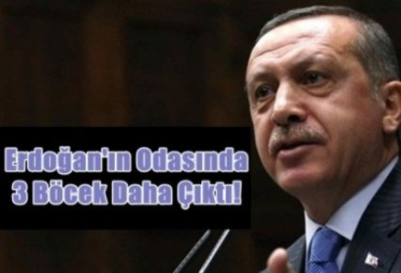 Başbakan'dan 'Böcek' Açıklaması