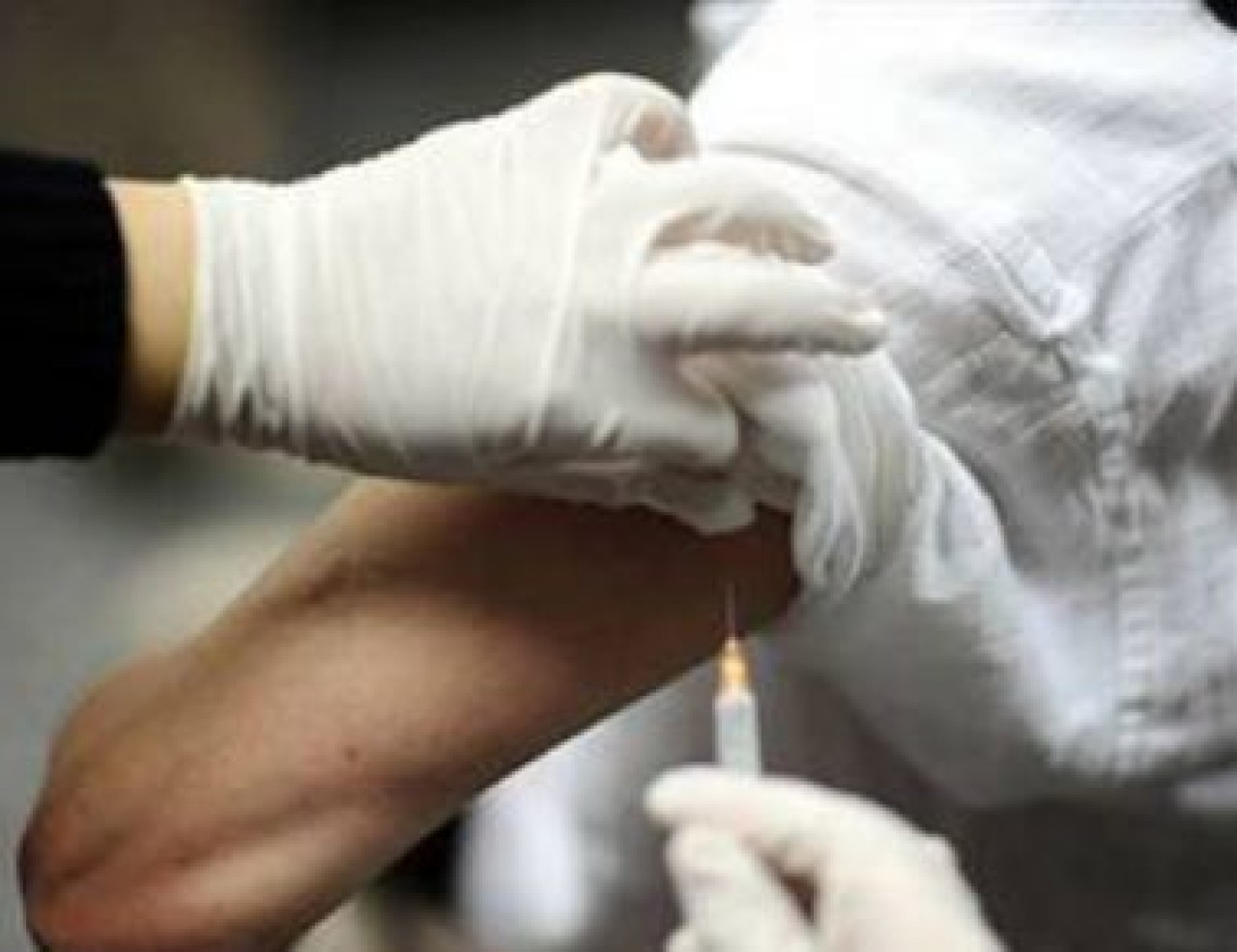 Domuz gribi Avrupa'ya geri döndü