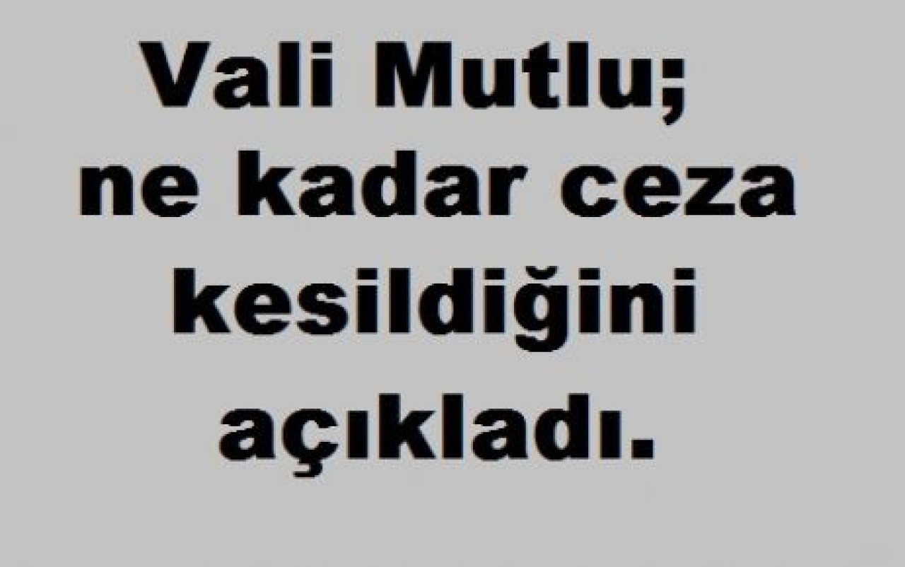İstanbul'da kesilen trafik cezası