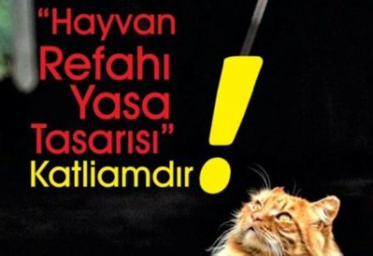 ‘Hayvan Refah Yasası’na protesto