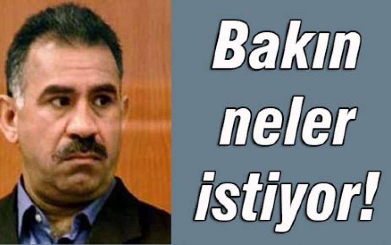 Türk 'devleti zorlamaz' demişti