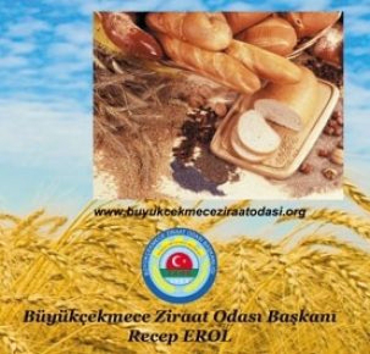 Başbakanın açıklamasına Erol’dan destek